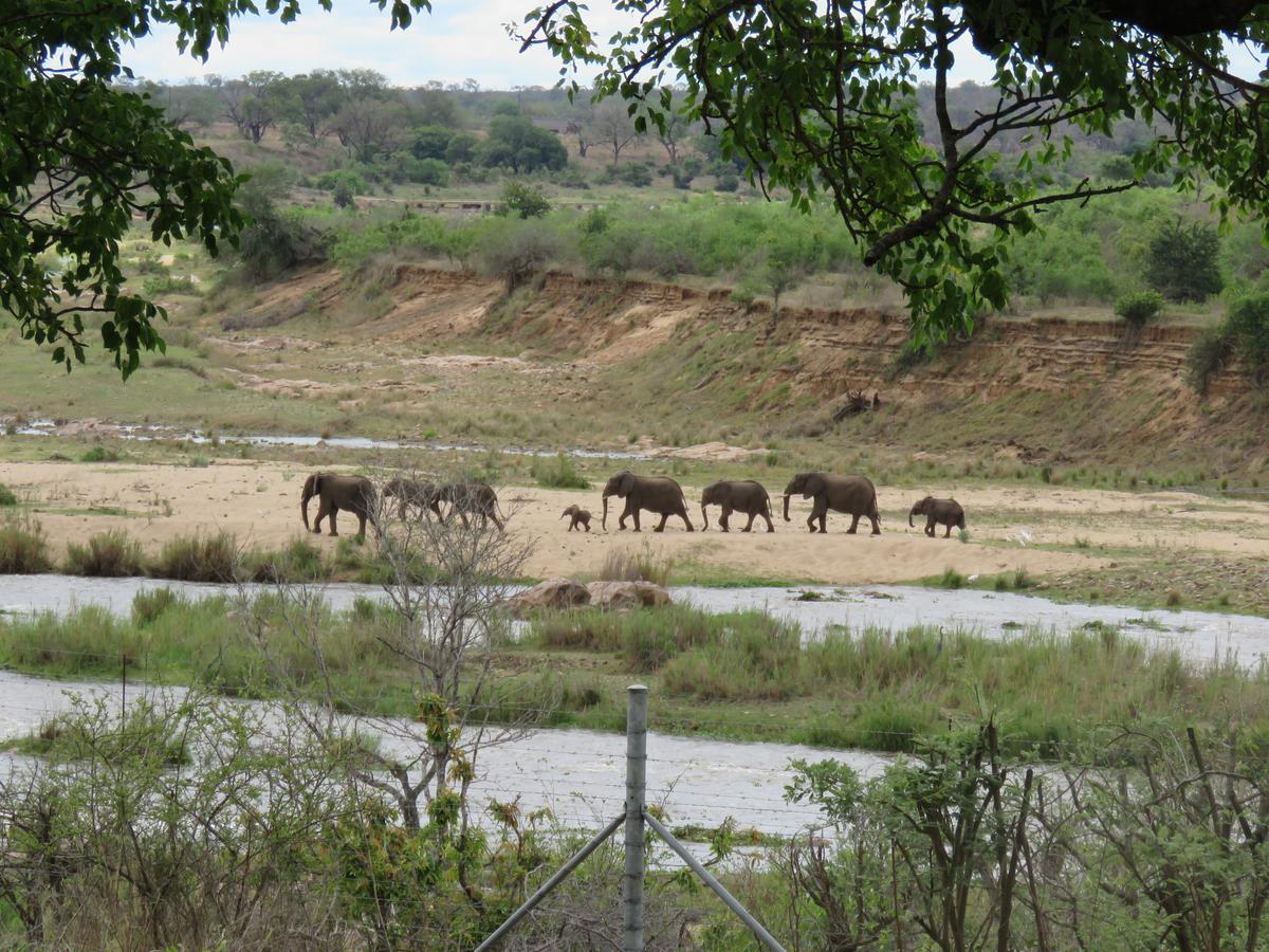 Kruger View Tree House Villa Marloth Park Bagian luar foto