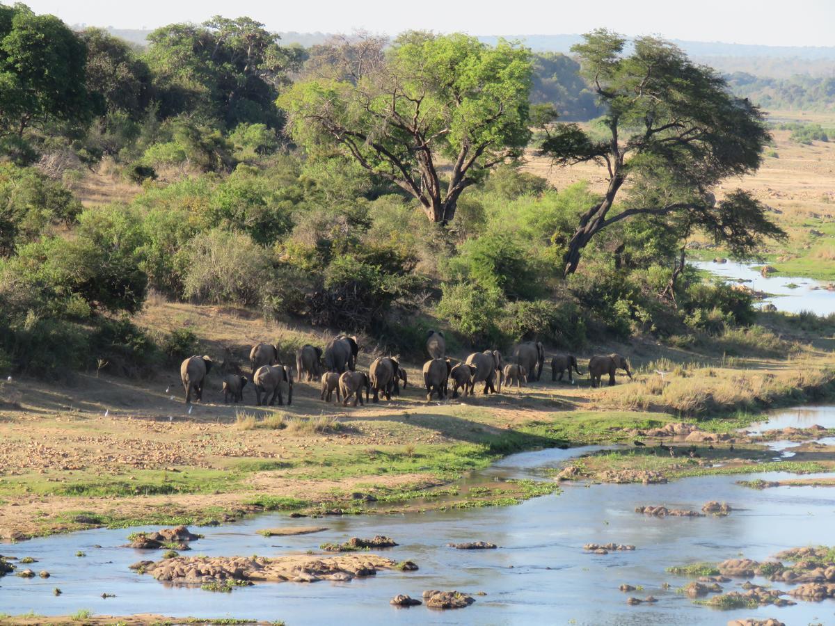 Kruger View Tree House Villa Marloth Park Bagian luar foto