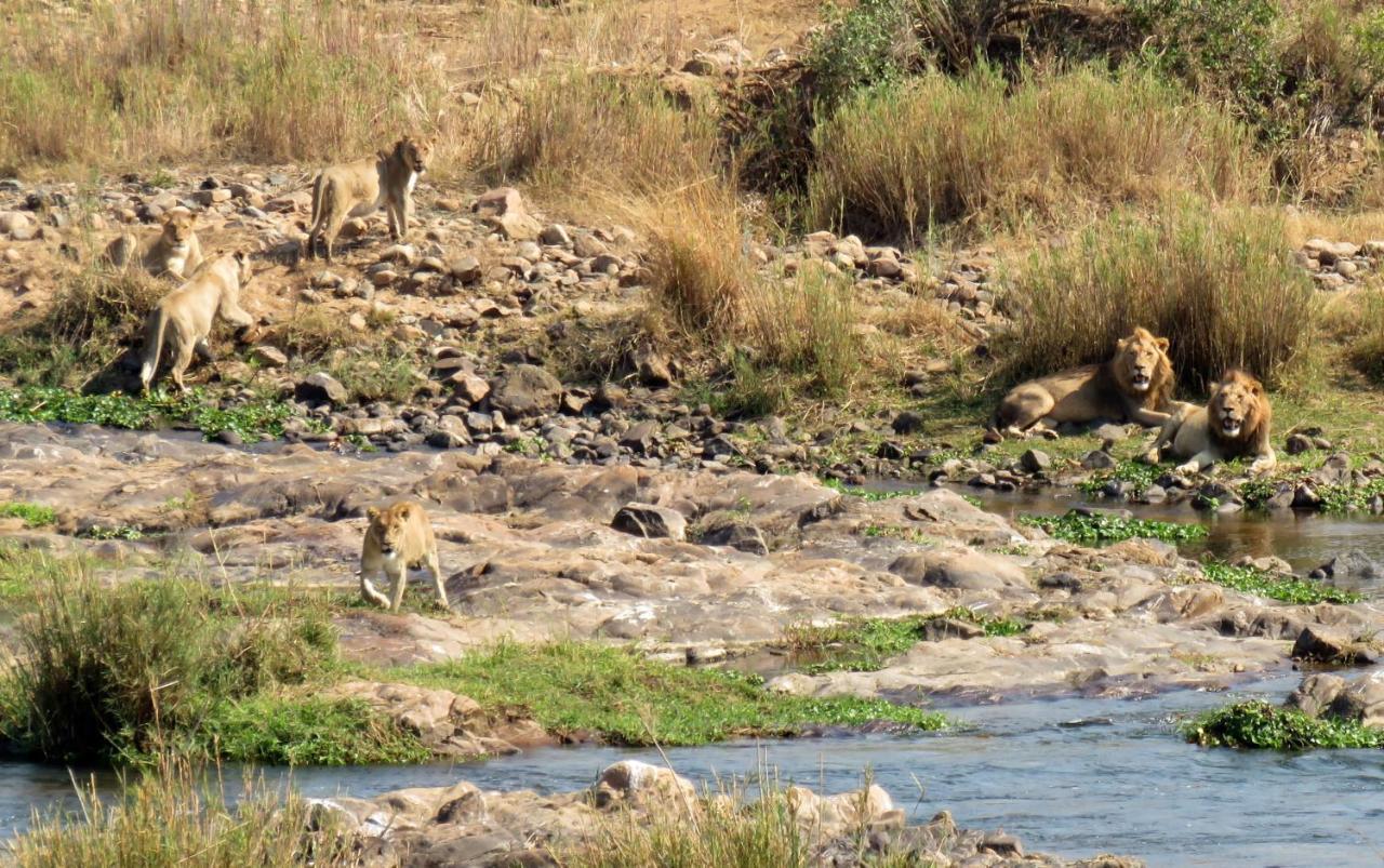 Kruger View Tree House Villa Marloth Park Bagian luar foto